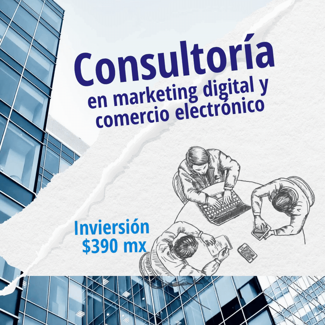 Consultoria en Marketing Digital y Comercio electrónico